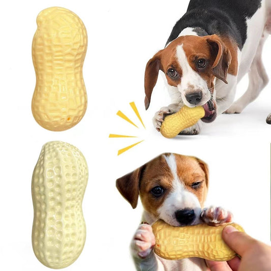 Pet Item Oda Squeaky Peanut Dog Chew Toy for Puppies