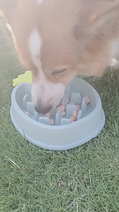 Pet Item Oda Slow Feeder Dog Bowl – Non-Slip Feeding Bowl